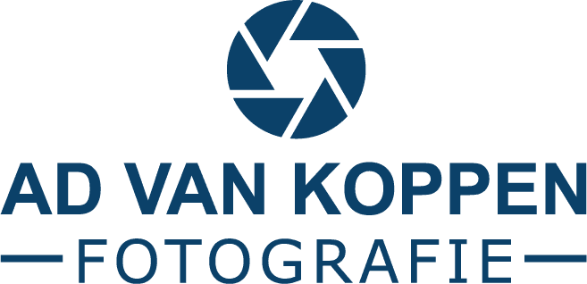 Fotorestauratie – Laat jouw beschadigde foto herstellen